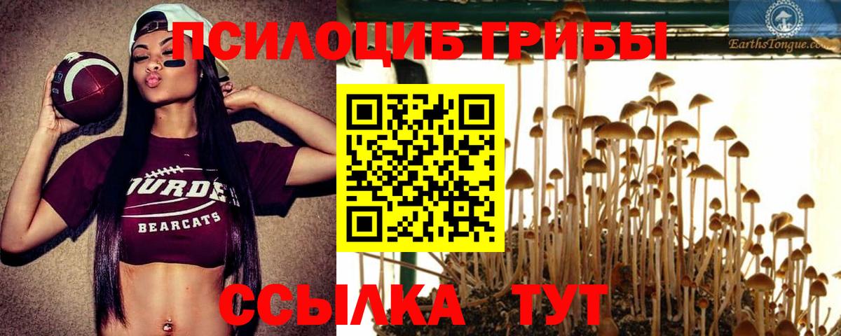Галлюциногенные грибы GOLDEN TEACHER Каменка